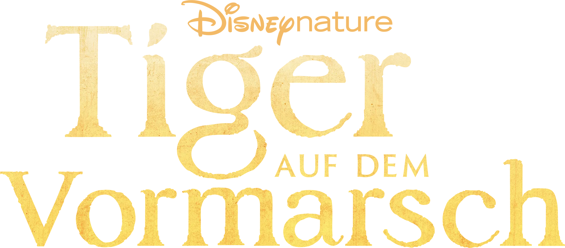 Tiger auf dem Vormarsch