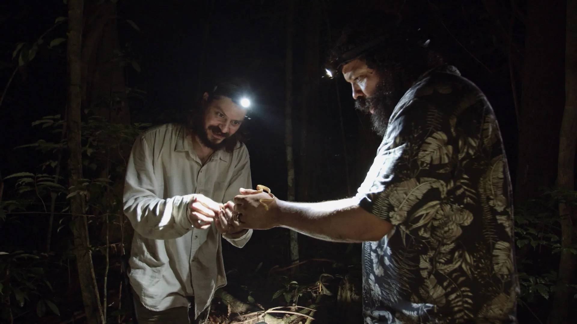 thumbnail - S1:E10 The Parrotsnake