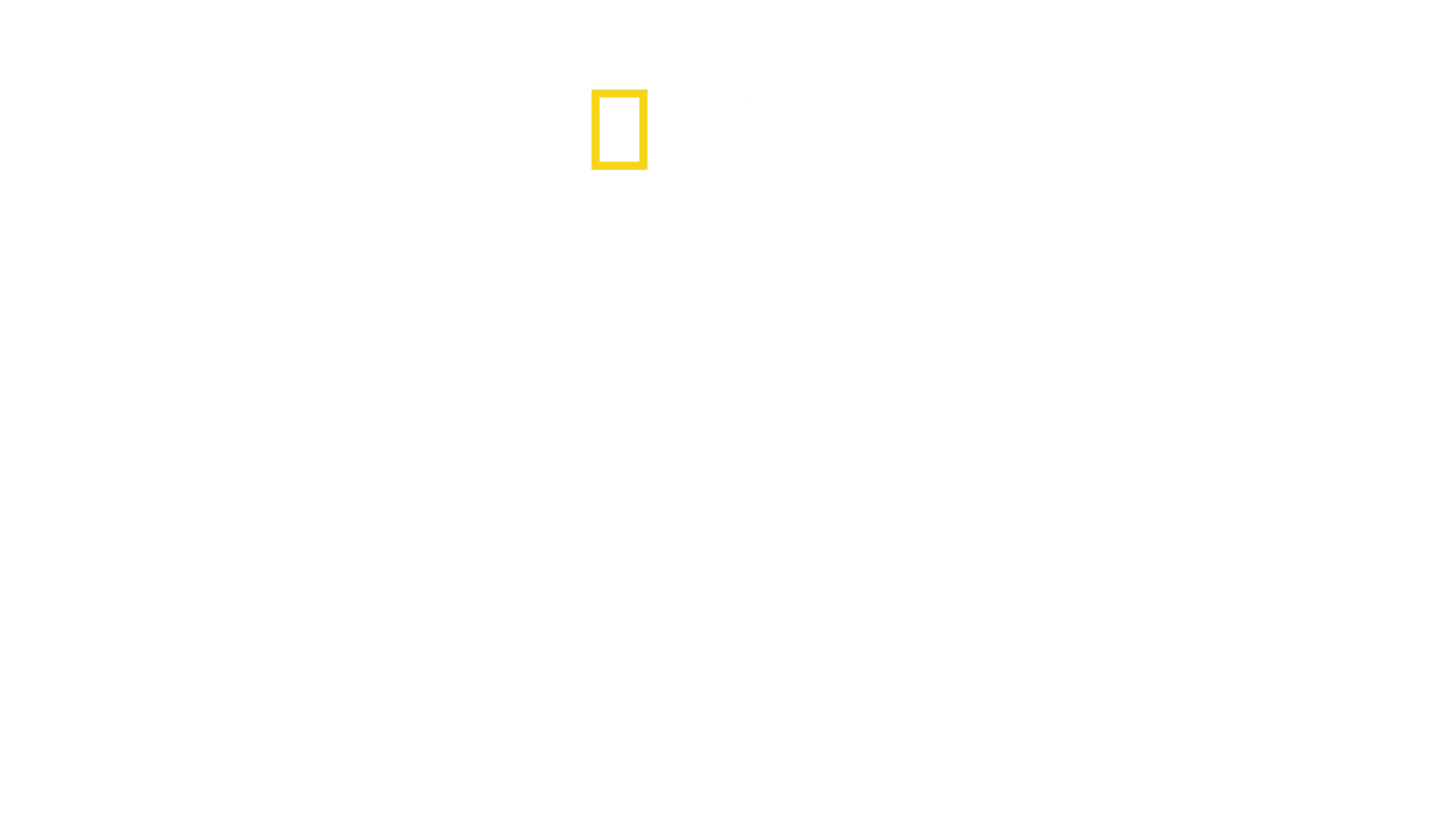 Overlevelse mod alle odds: Anden Verdenskrig