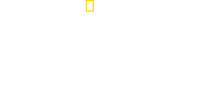Overlevelse mod alle odds: Anden Verdenskrig