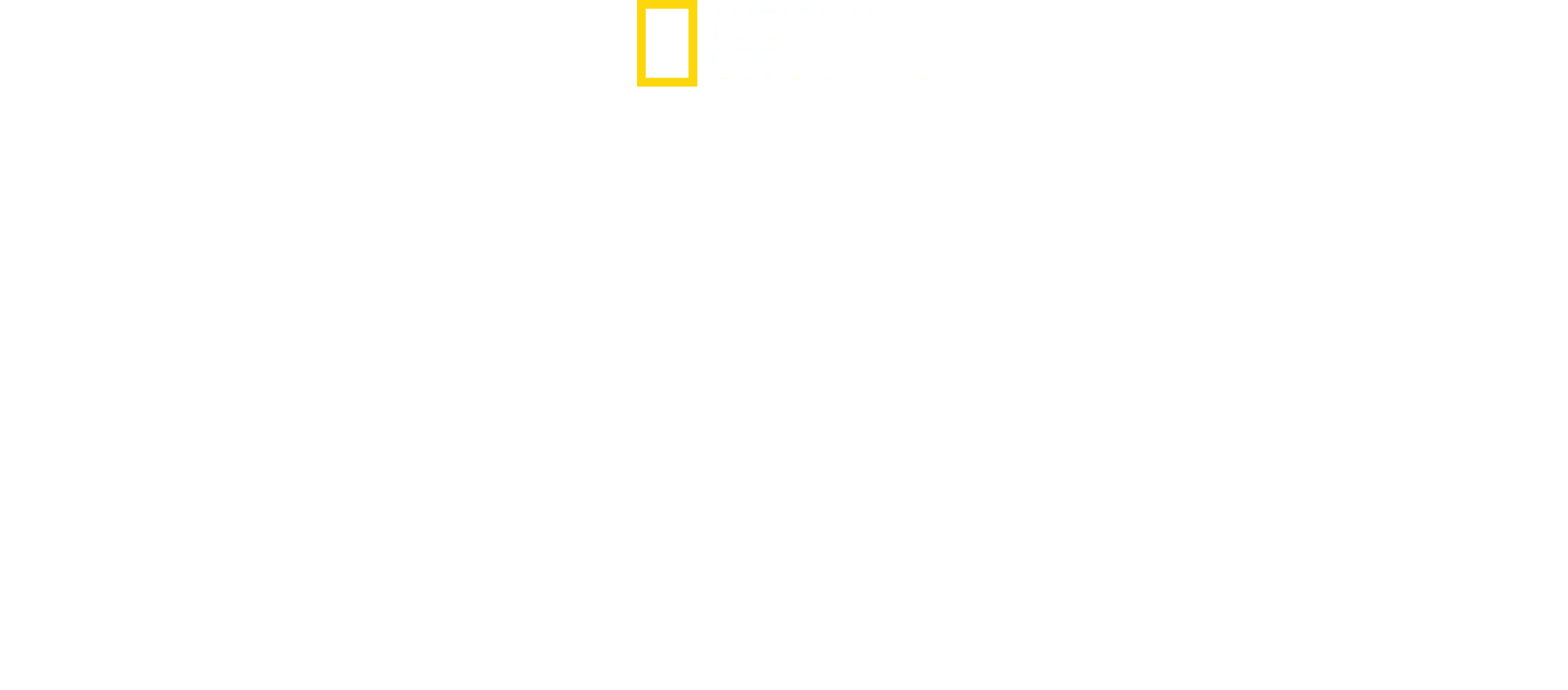 Overlevelse mod alle odds: Anden Verdenskrig