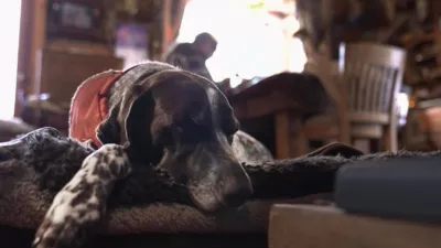 thumbnail - S10:E2 Coyote Showdown