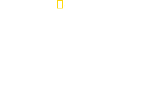 Χρόνος Κατασκευής: Μία Ημέρα