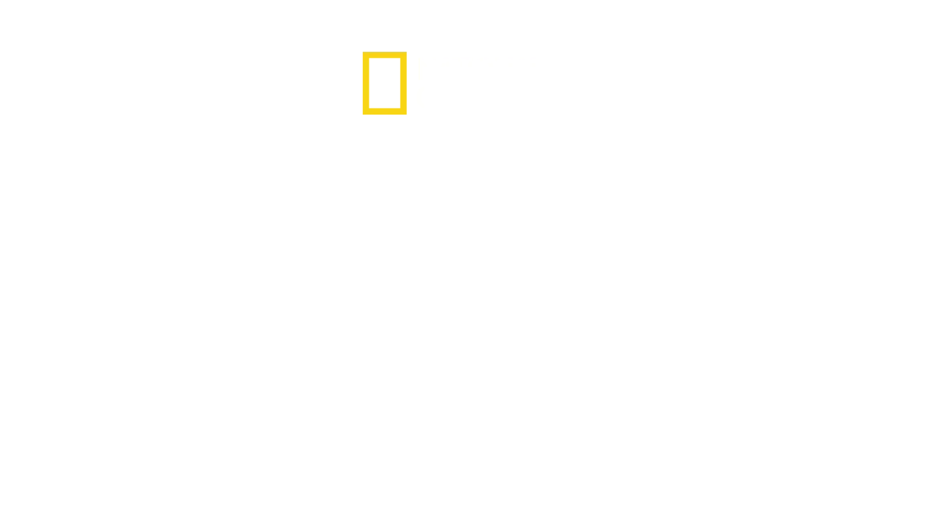 Solo intégral