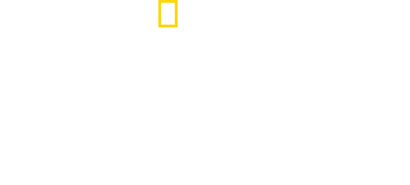 Solo intégral