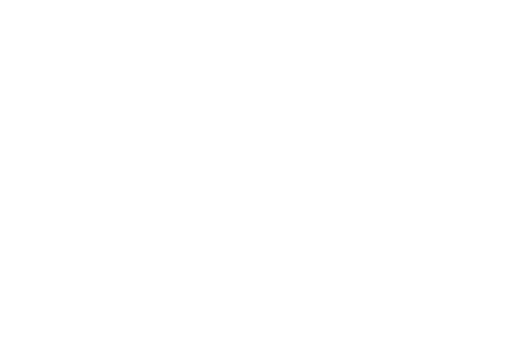 Bridget Jones: No Limite da Razão