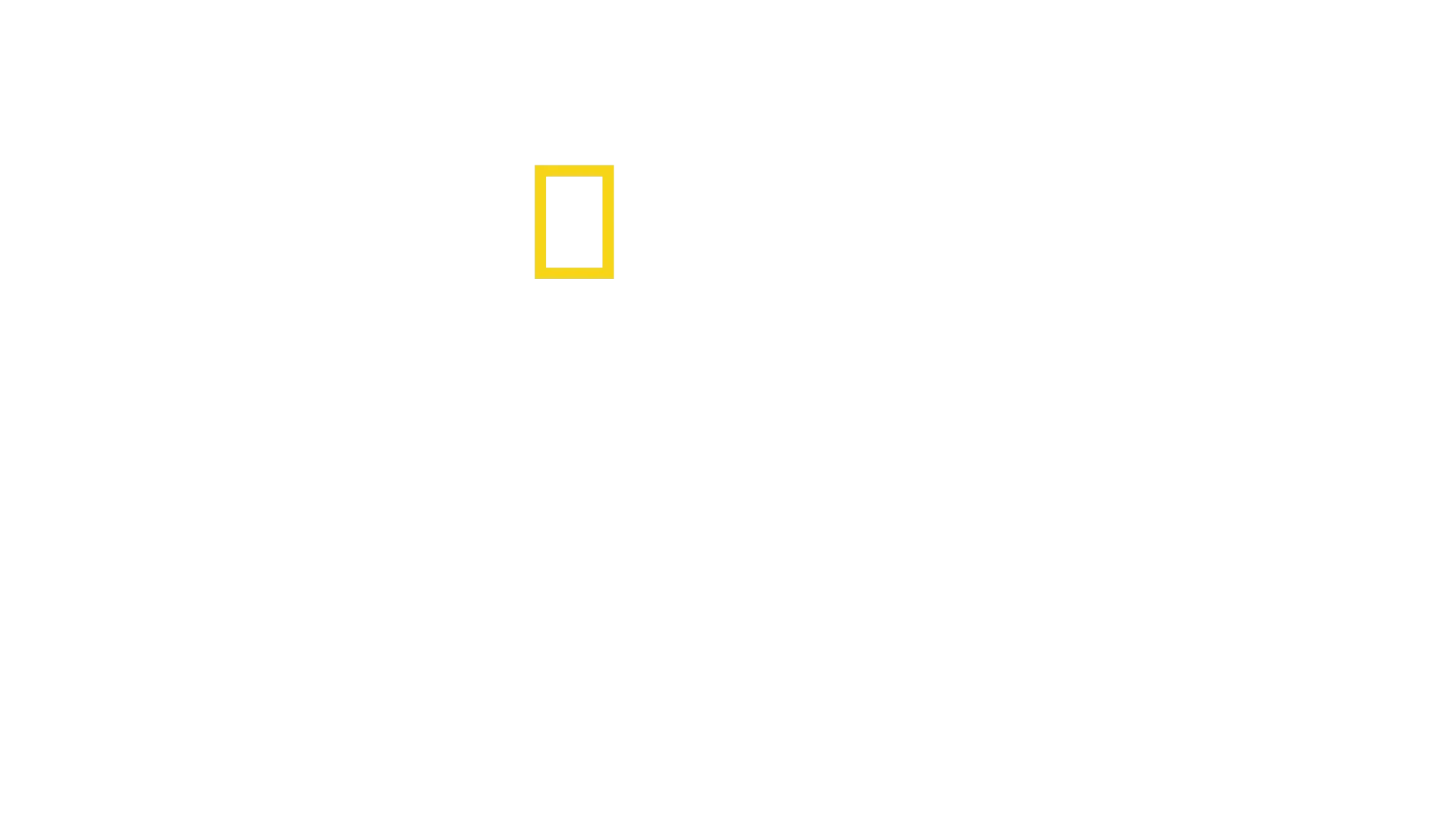 Kuchaři bez hranic