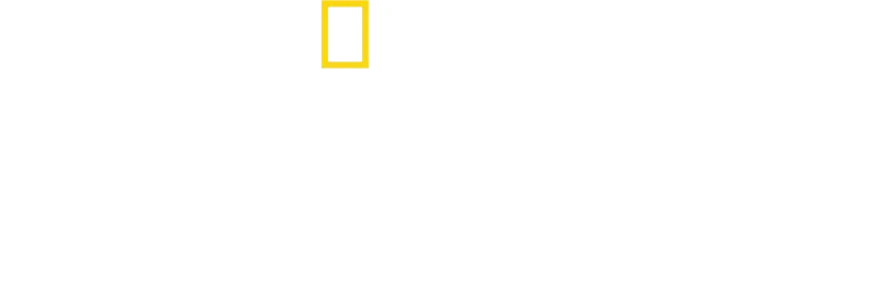 Kuchaři bez hranic