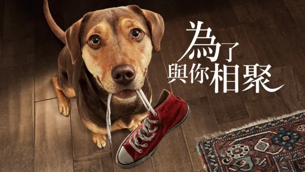 thumbnail - 為了與你相聚