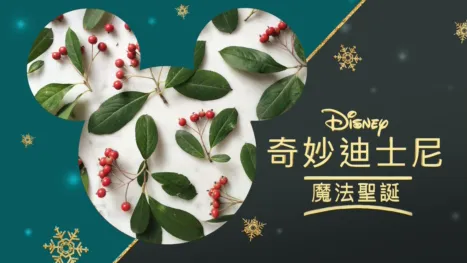 thumbnail - 奇妙迪士尼：魔法聖誕