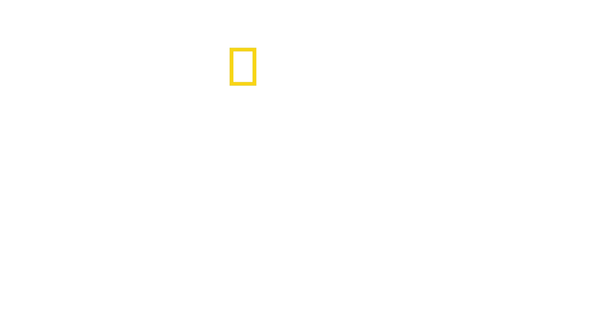Negyven nap a dzsungelben