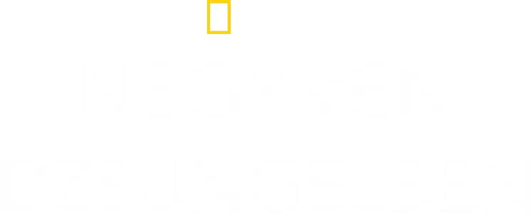 Negyven nap a dzsungelben