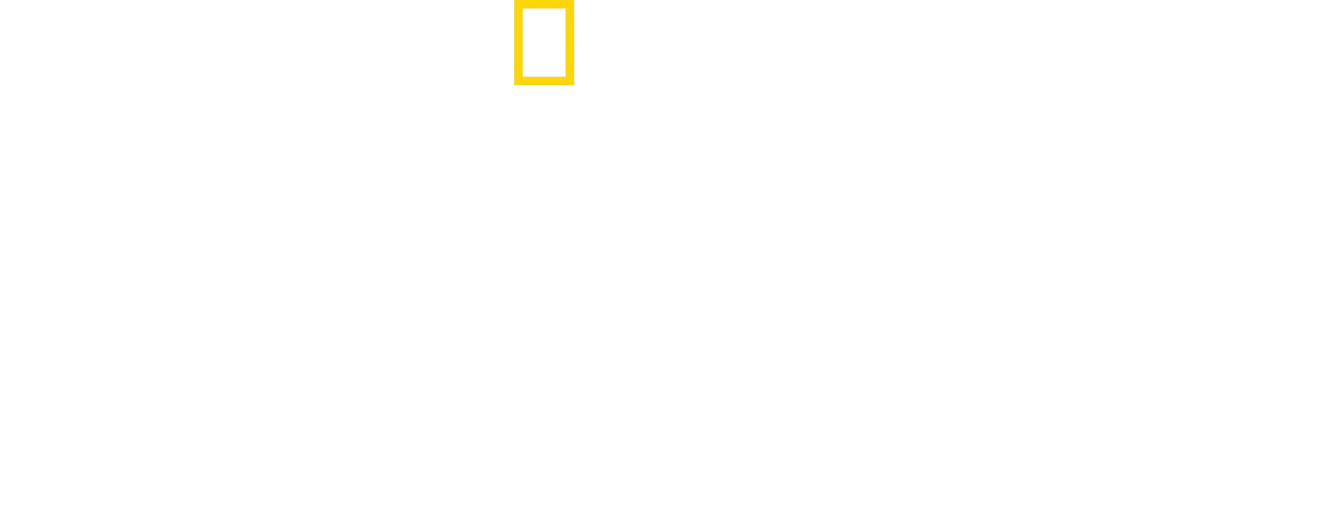 Negyven nap a dzsungelben
