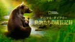 thumbnail - アニマル・ダイアリー 動物たちの成長記録