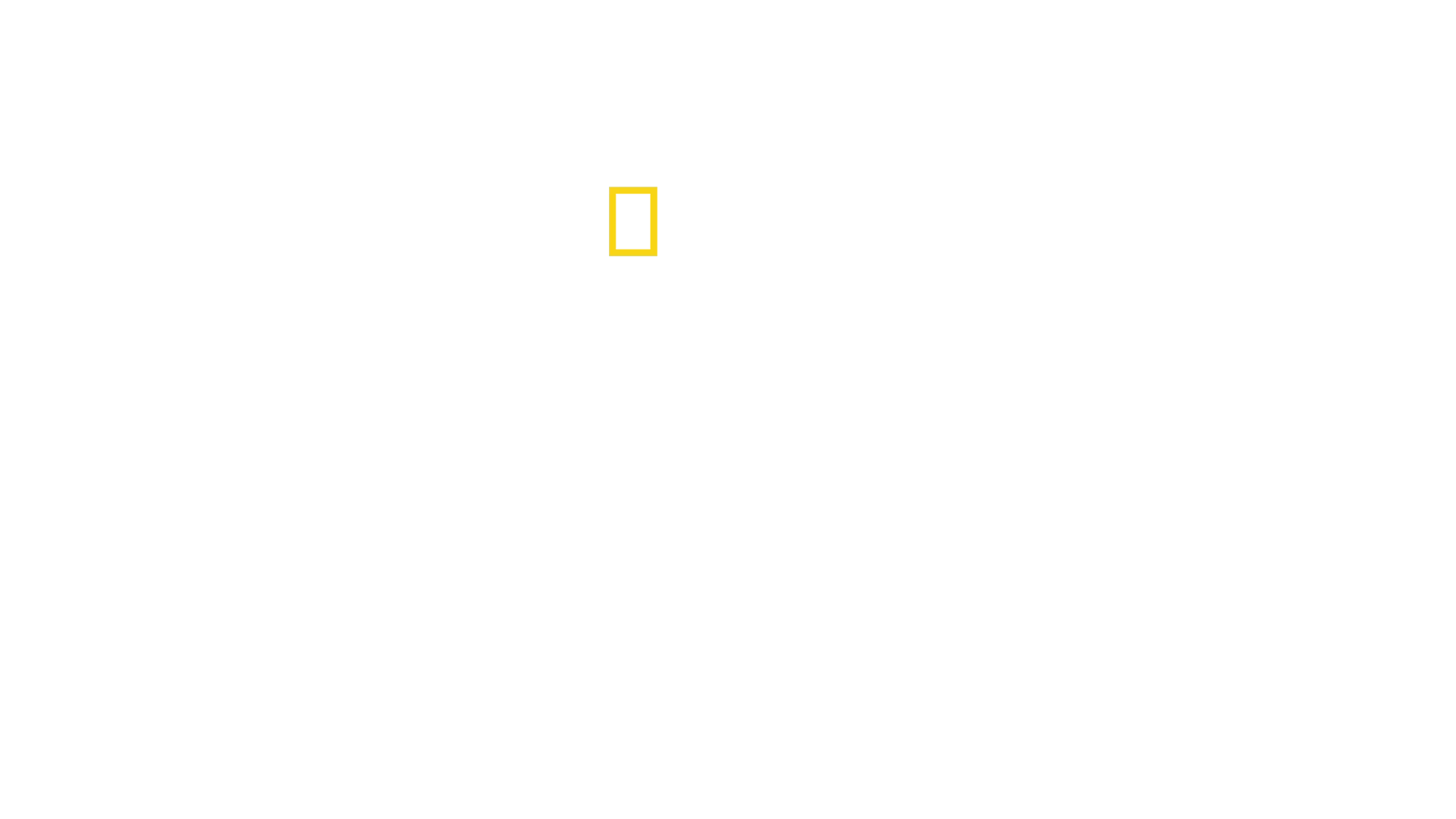 The Hidden Holocaust