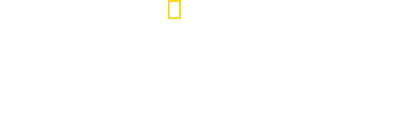 The Hidden Holocaust