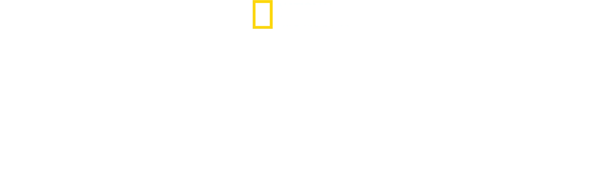 The Hidden Holocaust