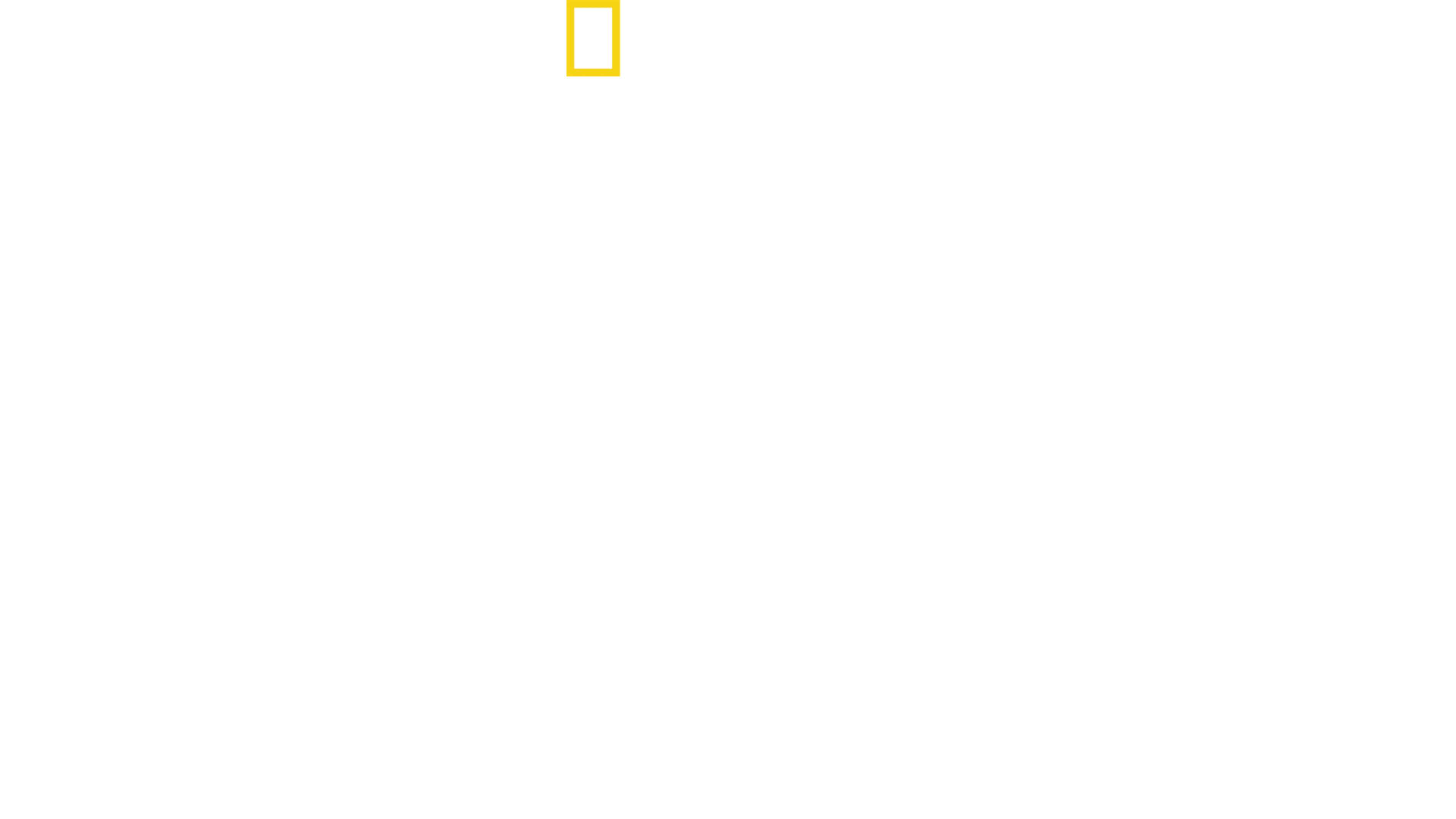 Ölümcül İçgüdüler