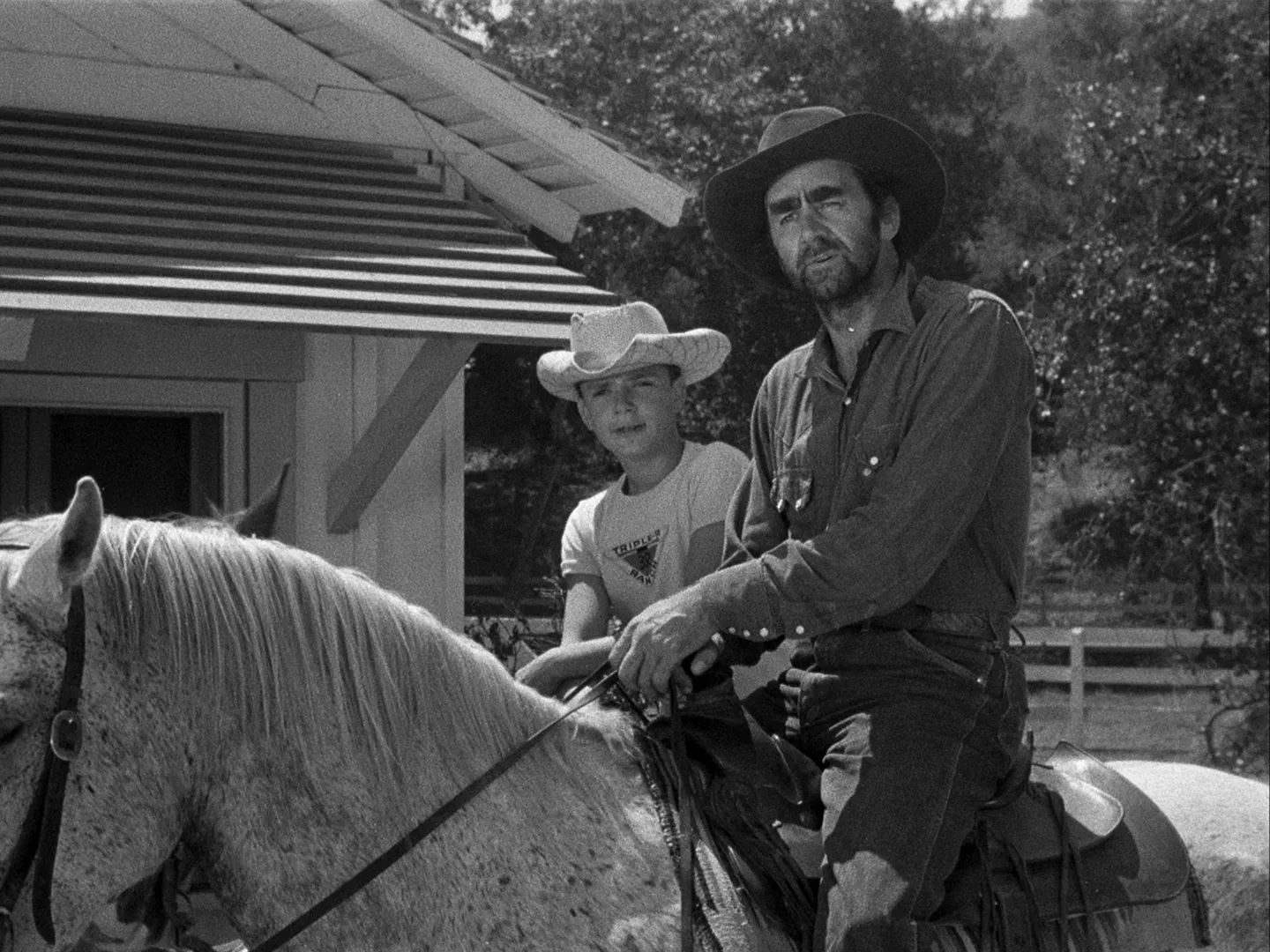 thumbnail - S1:E18 Perkins & the Bear