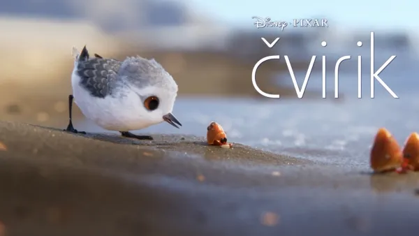 thumbnail - Čvirik