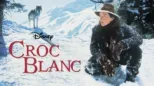 thumbnail - Croc-Blanc