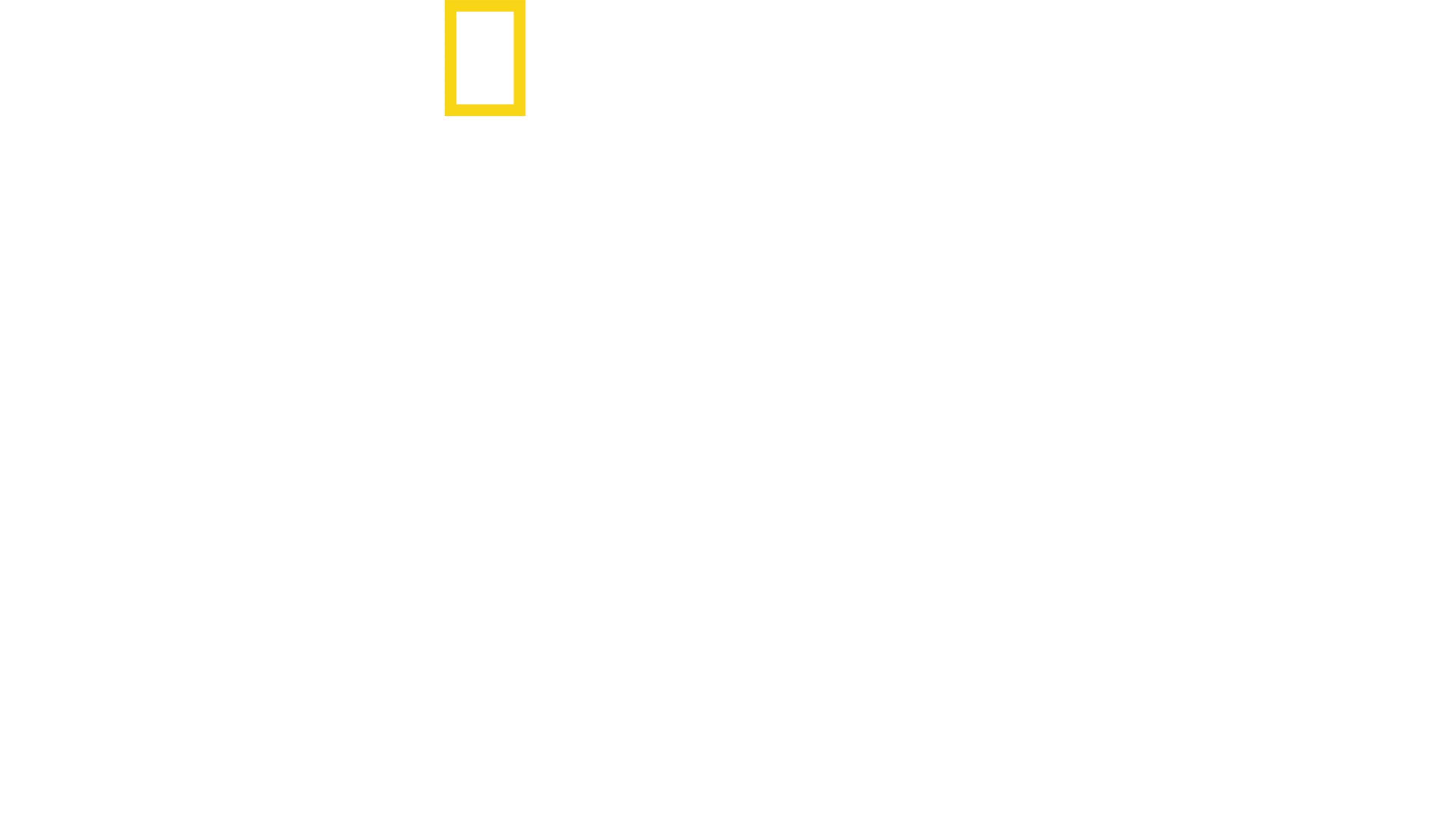 挑战者号航天飞机灾难真相