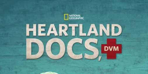 Watch Heartland Docs, DVM | What to Watch | Disney+ Canada