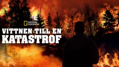 Vittnen till en katastrof