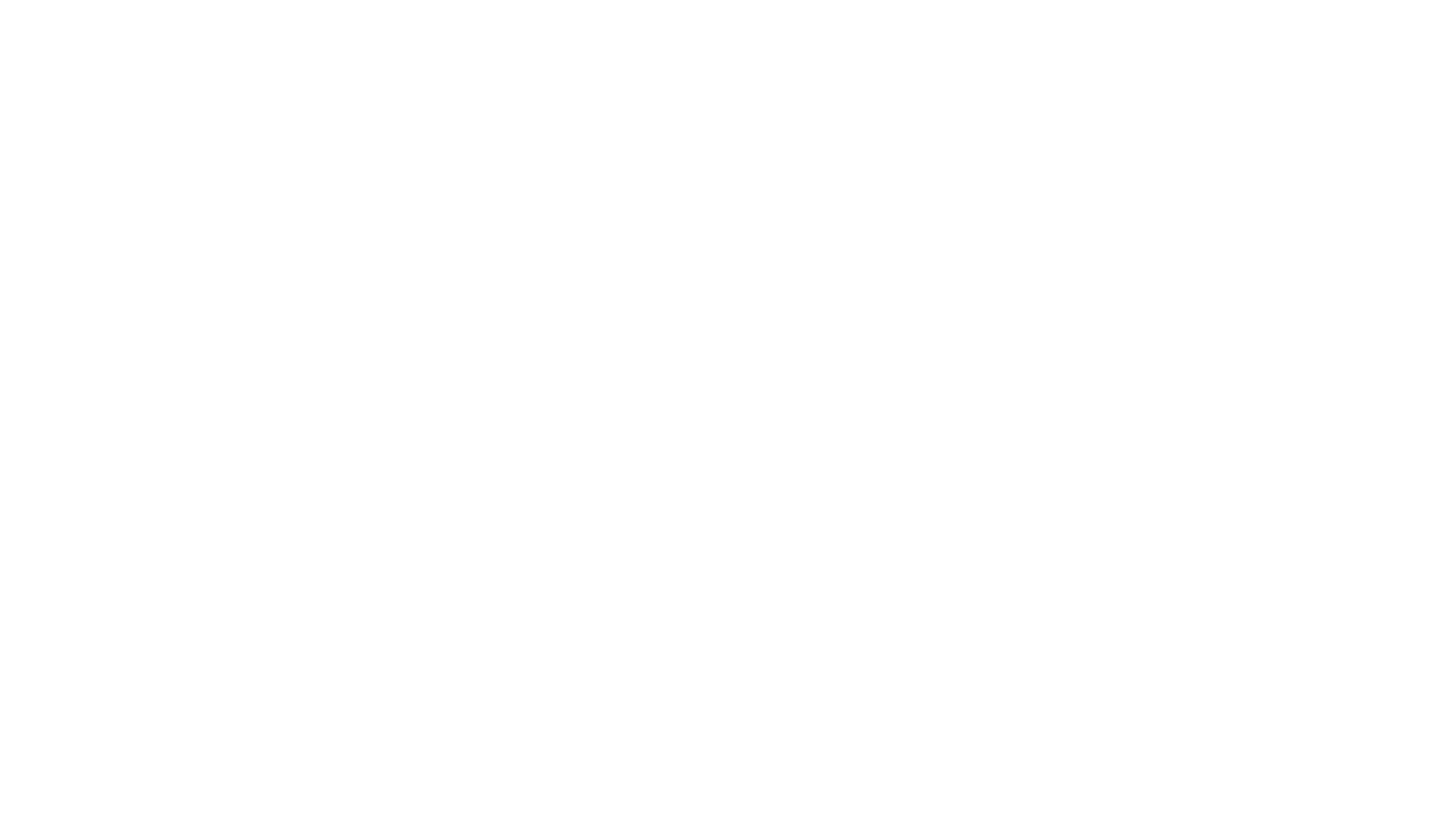 The Other Guys