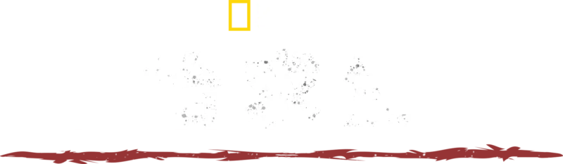 原始求生记
