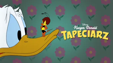 thumbnail - Tapeciarz