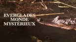thumbnail - Everglades, monde mystérieux