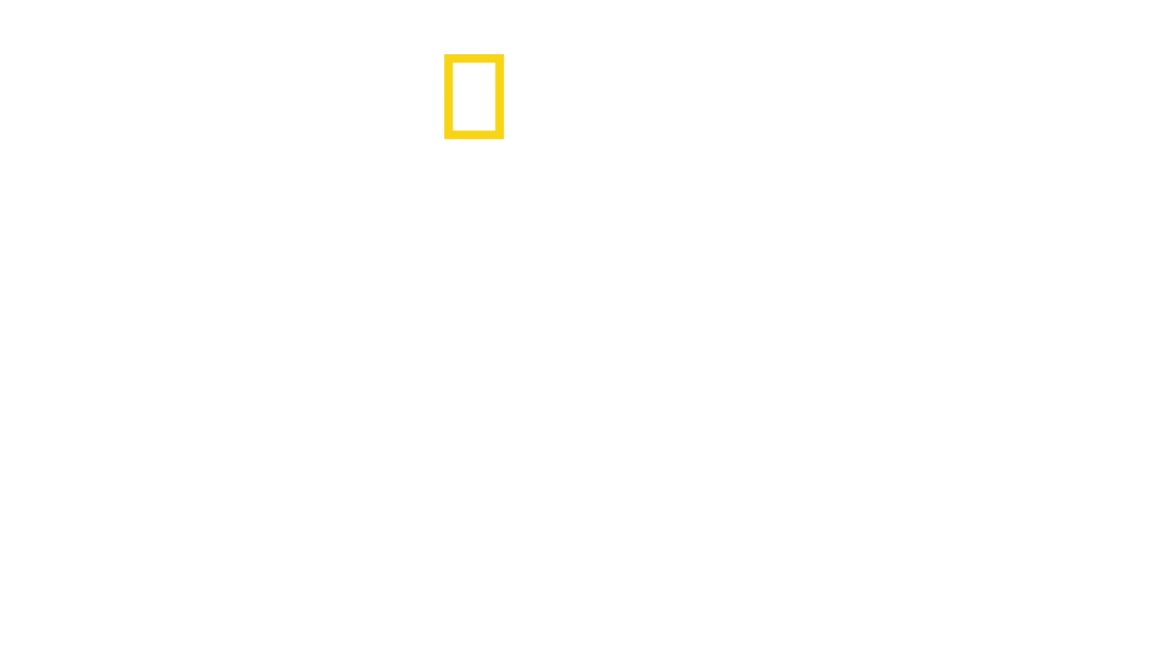 世上最大大白鲨：夏威夷探险