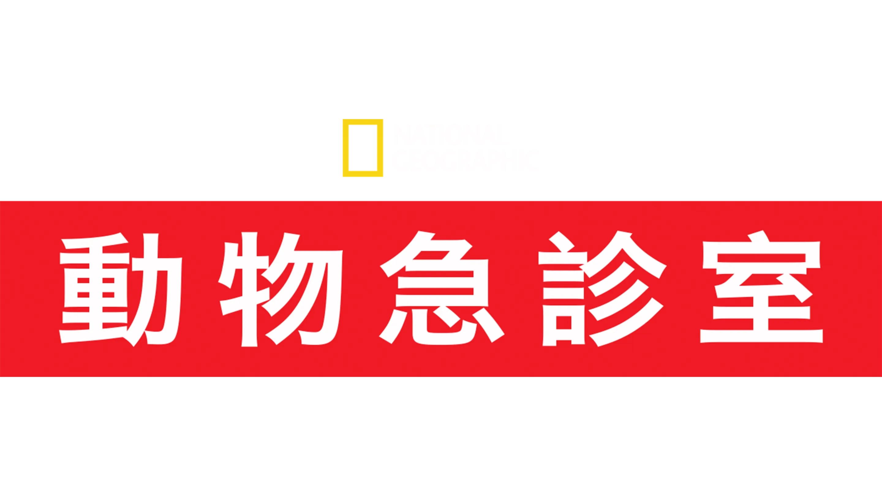 動物急診室