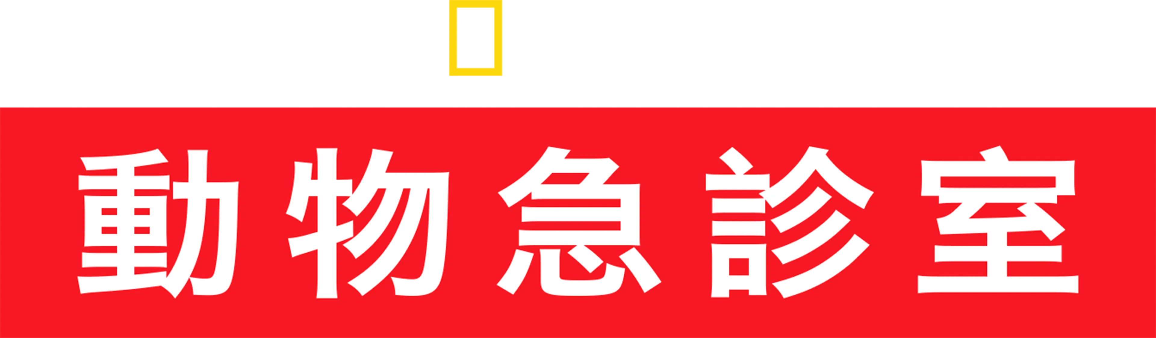 動物急診室