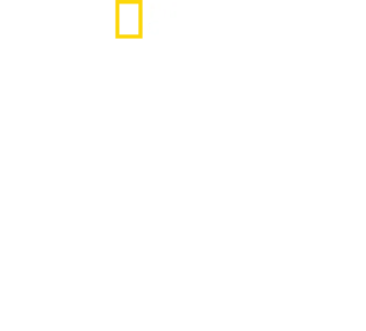 Extremsport: An den Grenzen des Möglichen