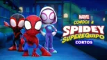 thumbnail - Conoce a Spidey y su superequipo (Cortos)