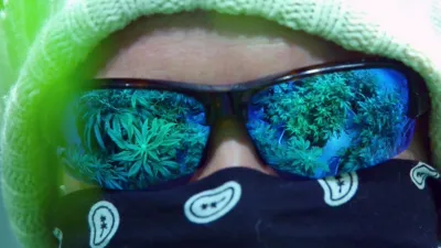 thumbnail - S7:E14 Boston Weed Party