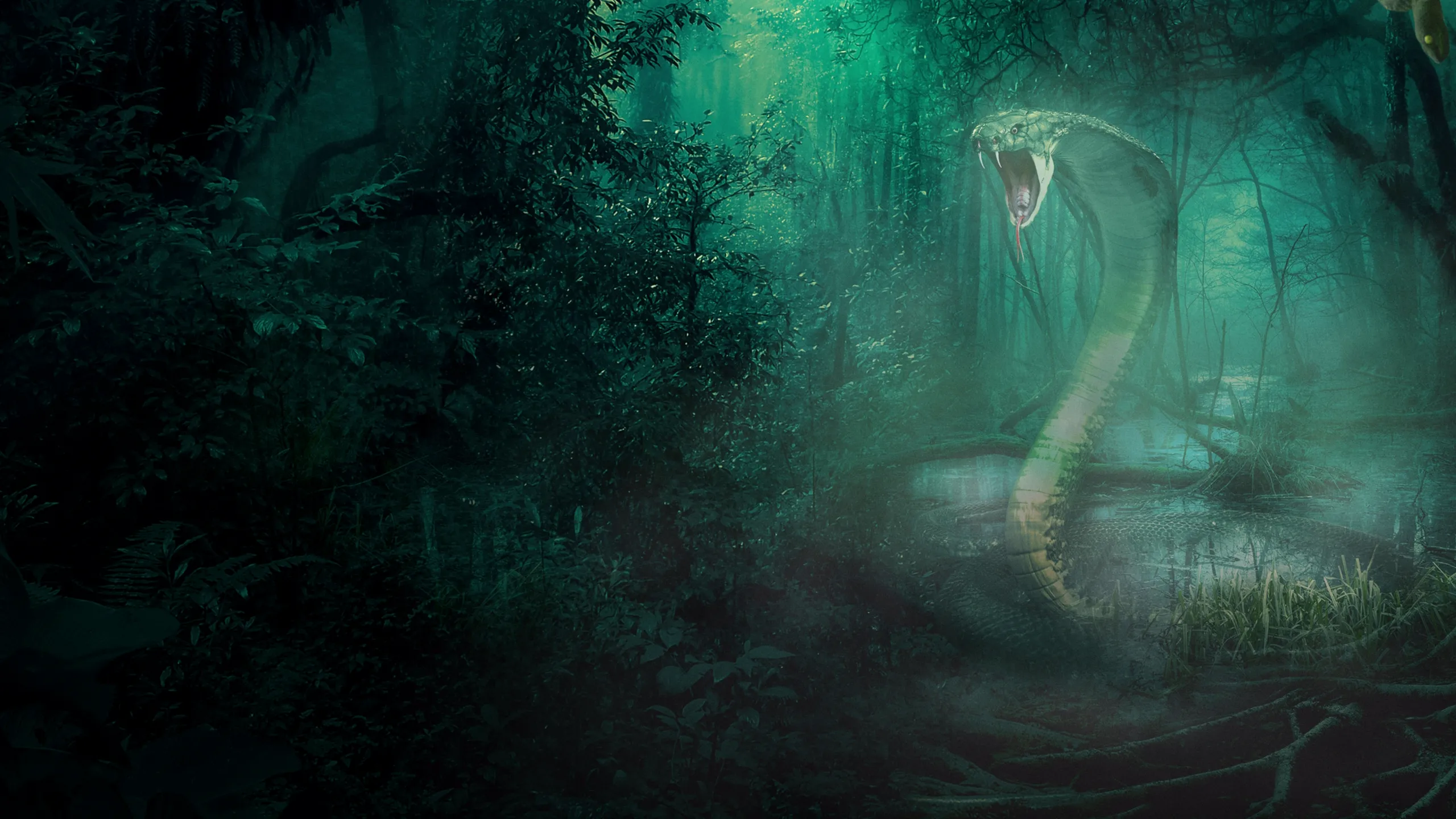 MonsterQuest: Serpentine Creatures