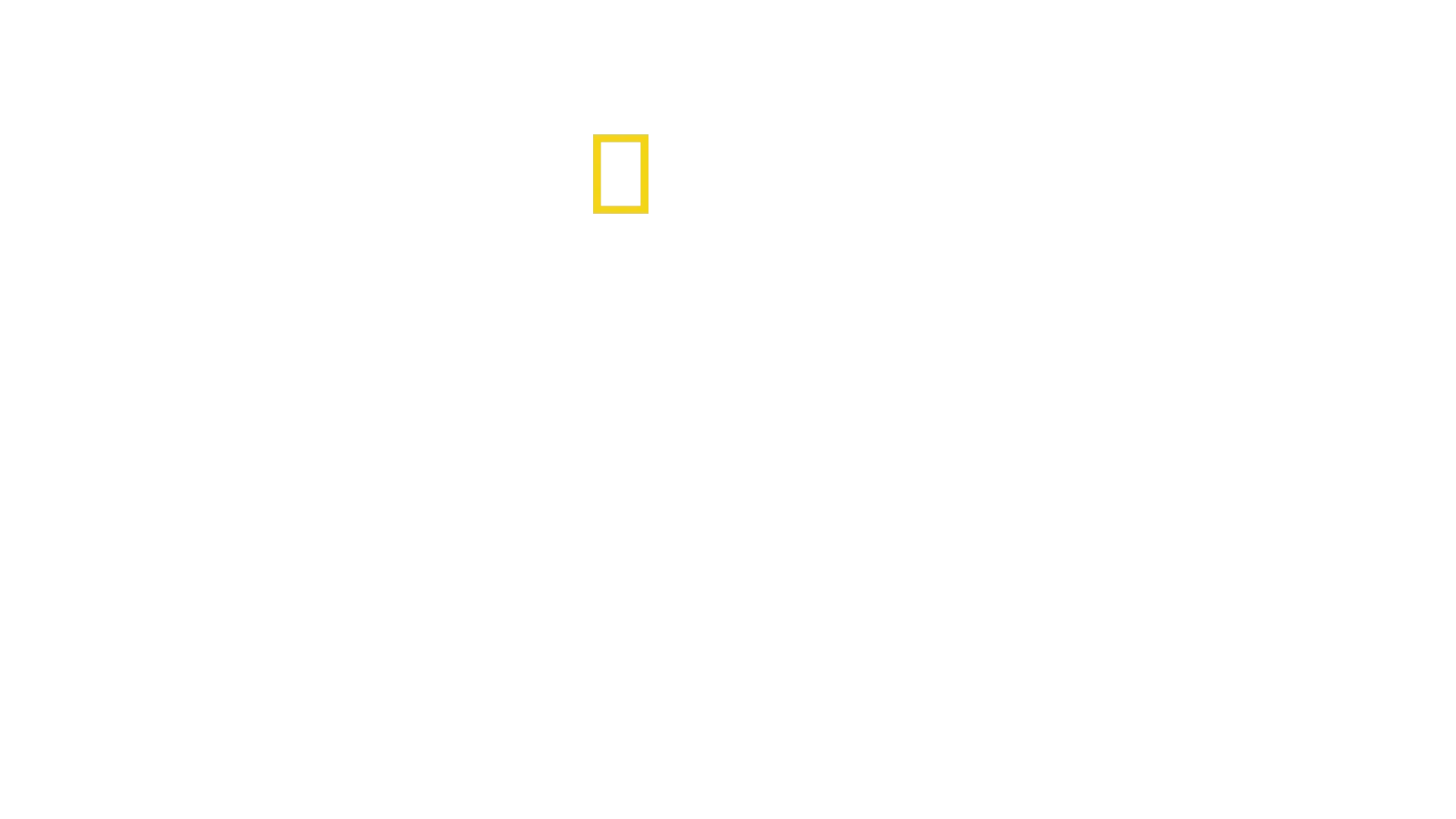 O Que Nos Define?