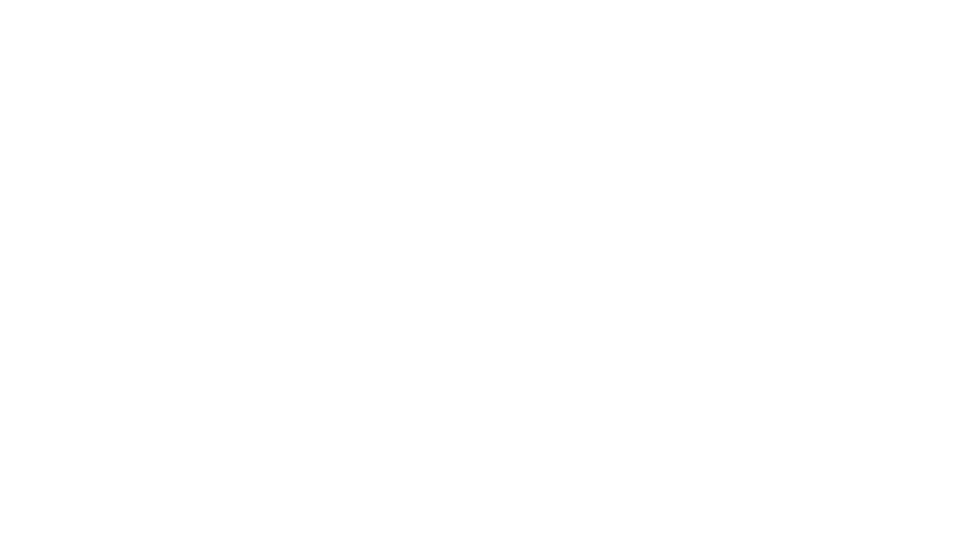 Die Schattenfreundin