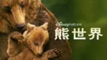 thumbnail - 熊世界