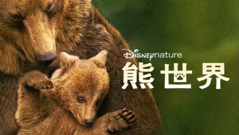 thumbnail - 熊世界