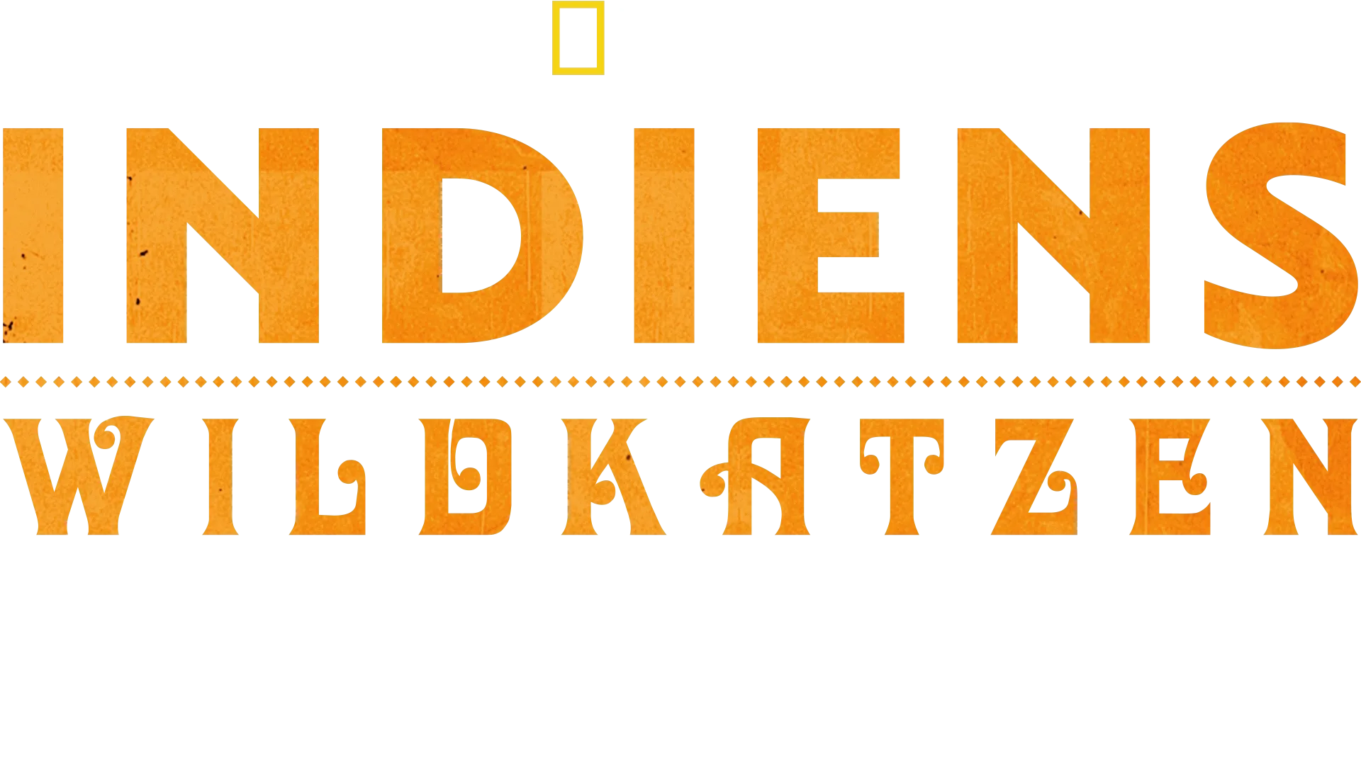 Die Wildkatzen Indiens