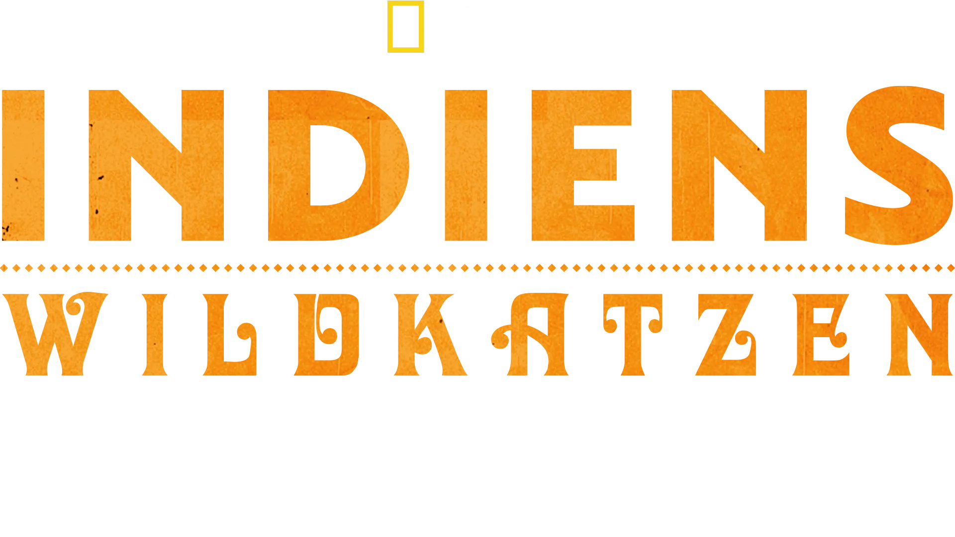 Die Wildkatzen Indiens