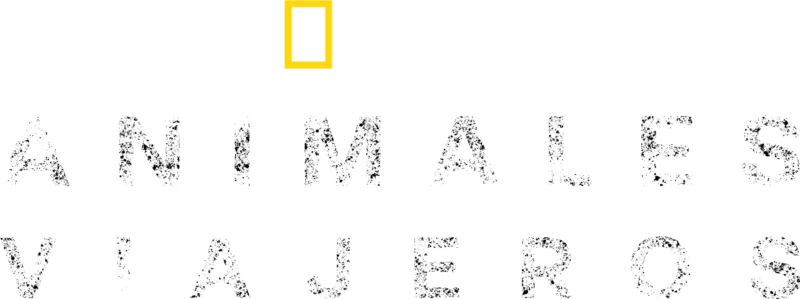 Incredible Animal Journeys