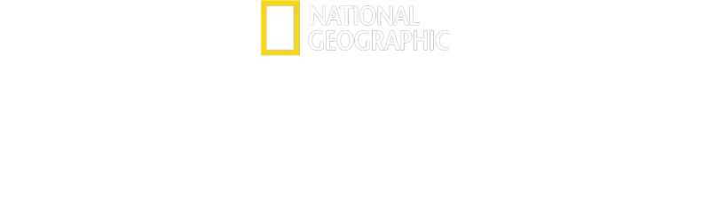 인류에게 밥주는 남자
