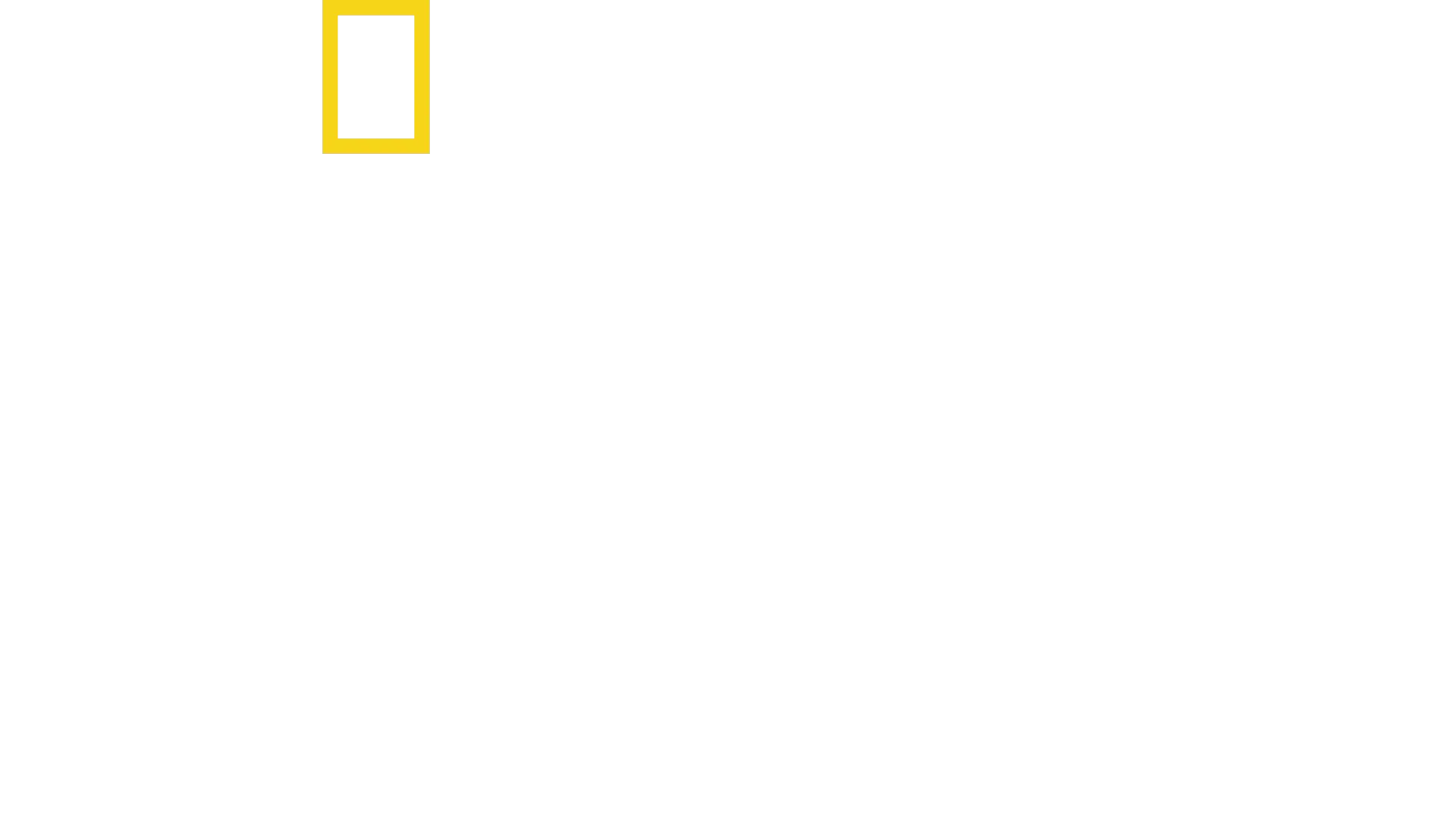 Tráfico ilegal con Mariana van Zeller