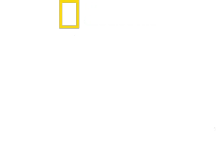 Tráfico ilegal con Mariana van Zeller