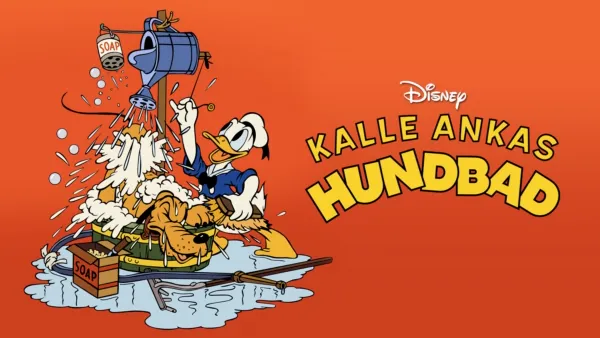 thumbnail - Kalle Ankas hundbad